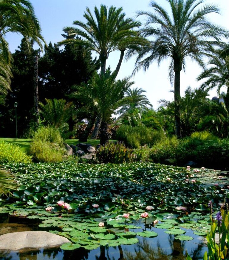06-LAGO-PDD